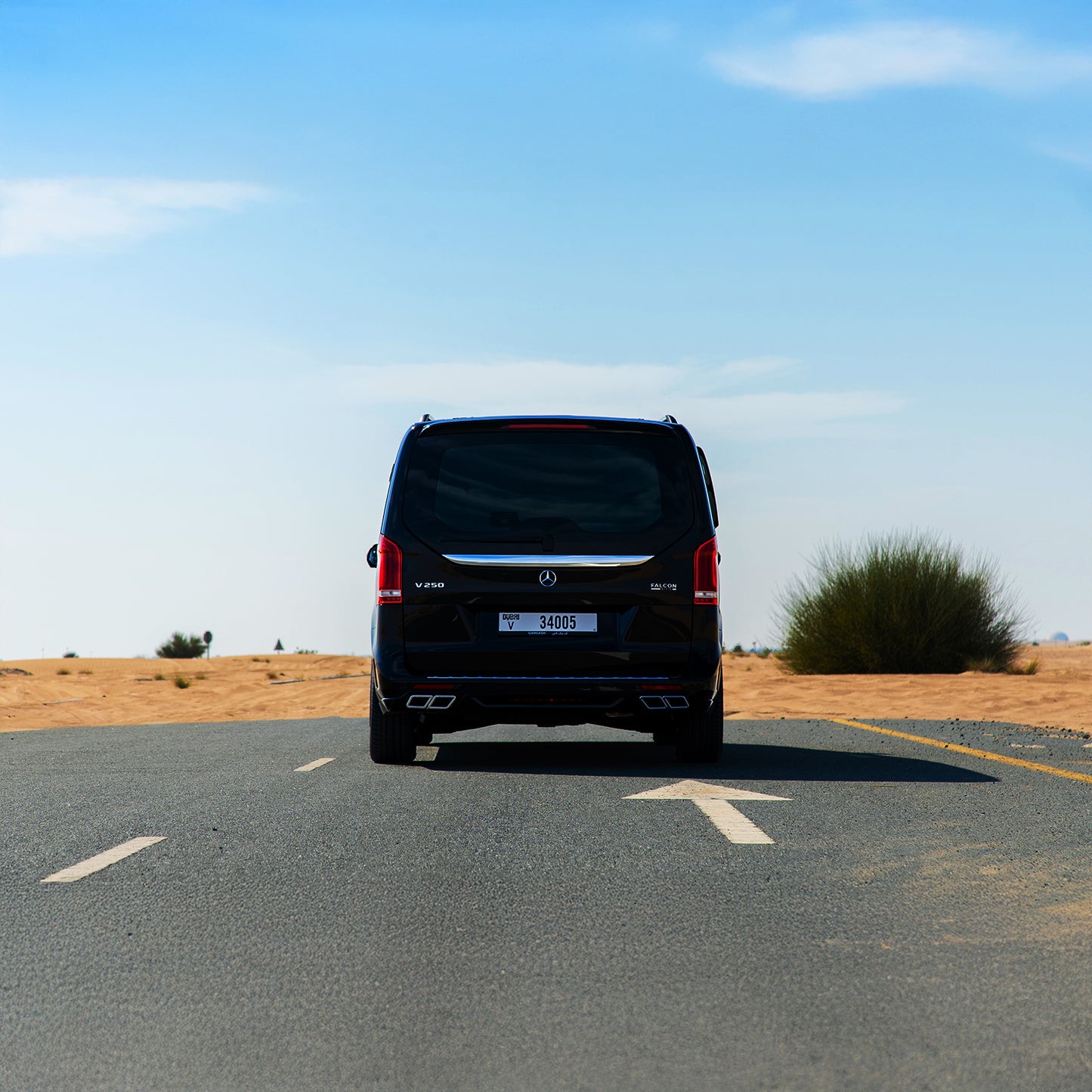 Mercedes V250 VIP Falcon Edition